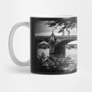 Bridge Architectures Mug